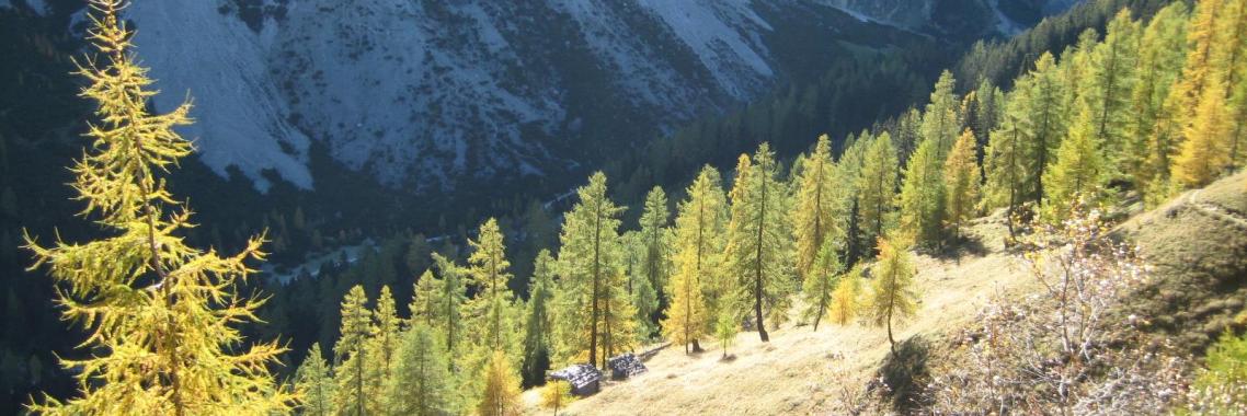 Bildung versetzt Berge Claim Röder Training
