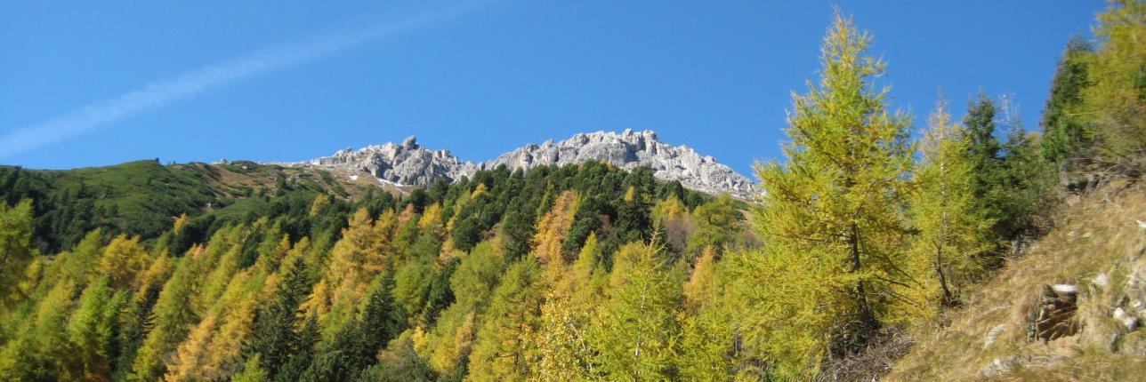 Bildung versetzt Berge Claim Röder Training Bildung versetzt Berge Claim Röder Training